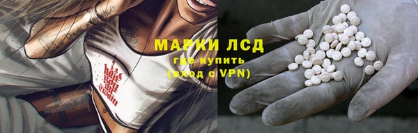 хмурый Абаза