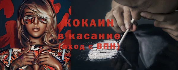 хмурый Абаза