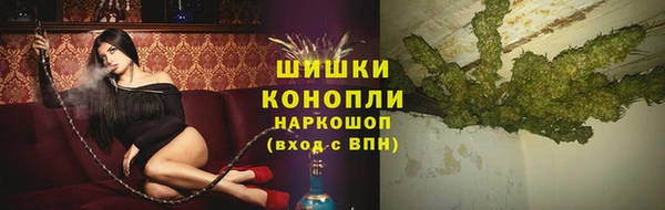 хмурый Абаза