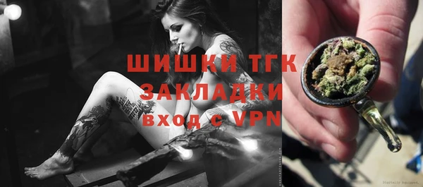 хмурый Абаза