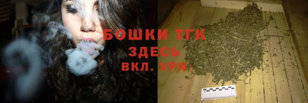 хмурый Абаза