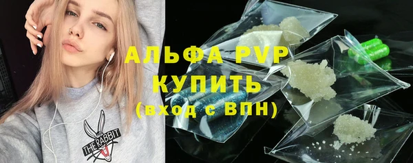 хмурый Абаза