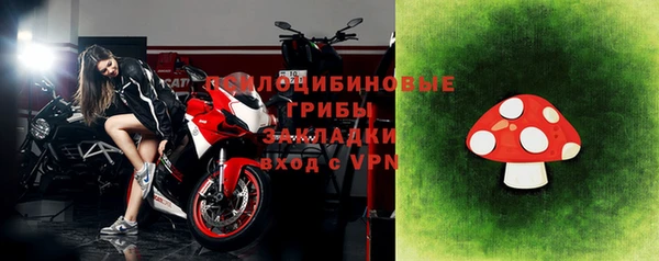 хмурый Абаза