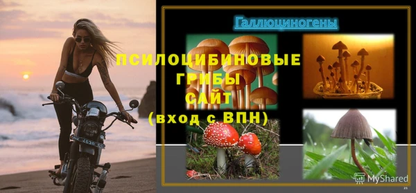 стаф Абинск